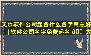 天水软件公司起名什么名字寓意好（软件公司名字免费起名 🐠 大全）